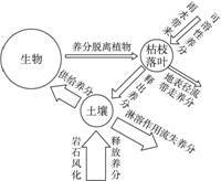 养分