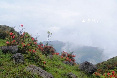 一簇簇