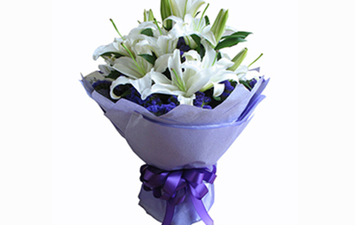 一束鲜花