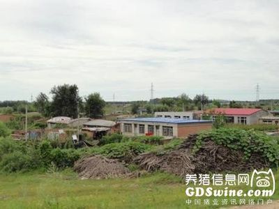 追上