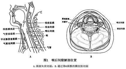间隙