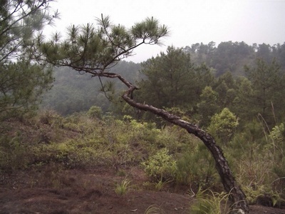 山岗