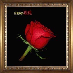绒线