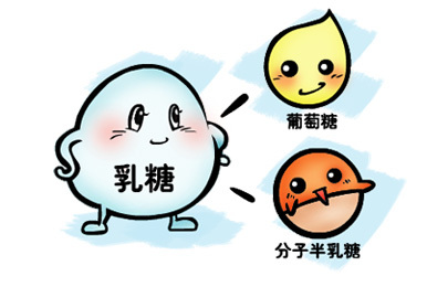乳糖