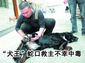 蛇毒