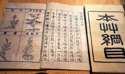 纲目