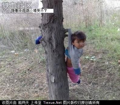 挂着