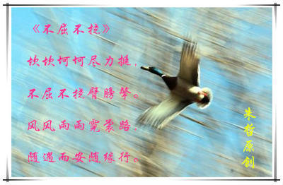 不屈不挠