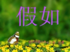 假如