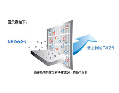 净化
