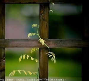 纠葛