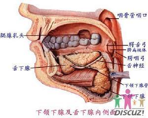 口腔
