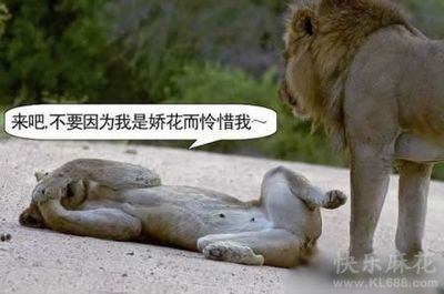 来吧