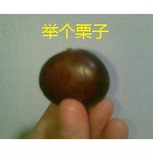 例子