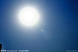 白日