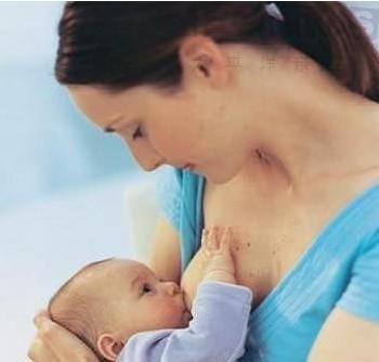 哺乳
