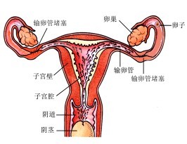 才能