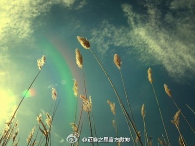 除掉
