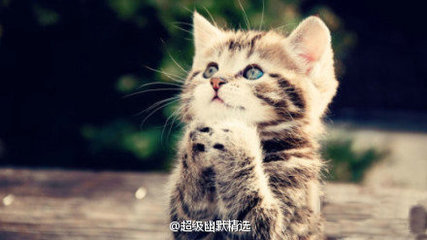 赐予