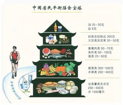 指南