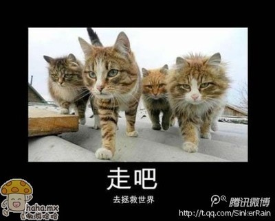 走吧