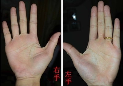 左手