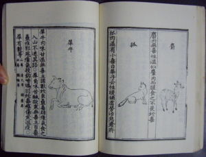 正要