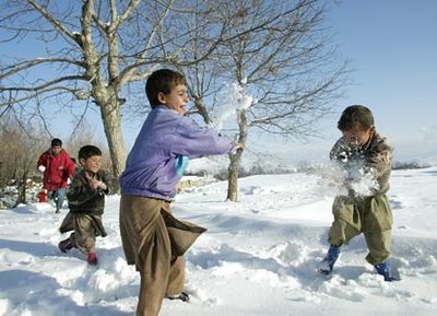 雪仗