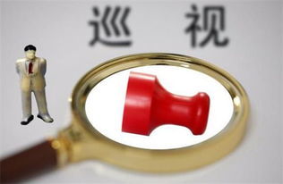 巡视