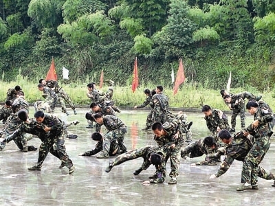 训练