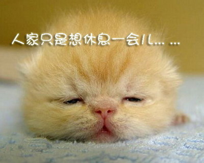 一会