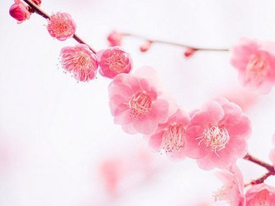 一月
