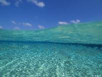 浅水