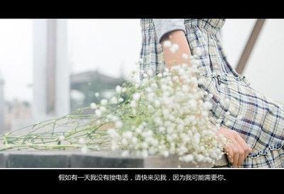 算是