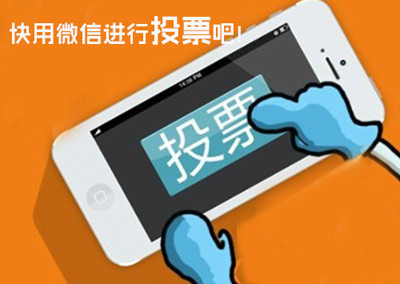 投票