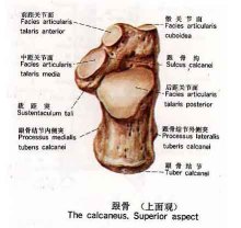 上面