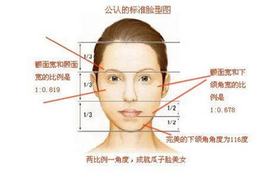 什么