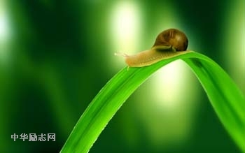 缓慢