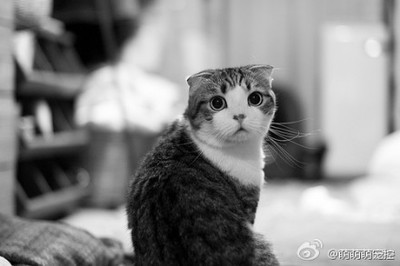 回首