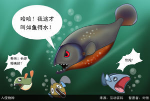 入侵