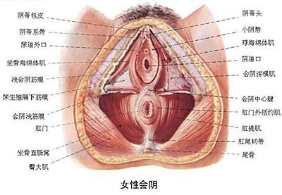地方