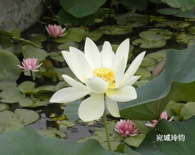 而不