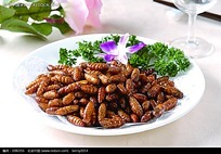 蜂拥