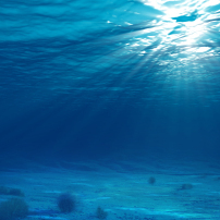 海底