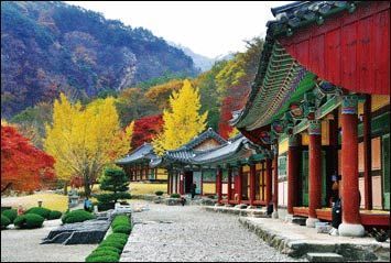 韩国