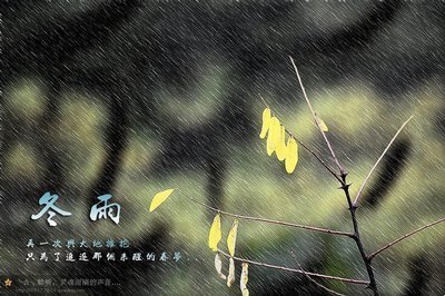 冬雨