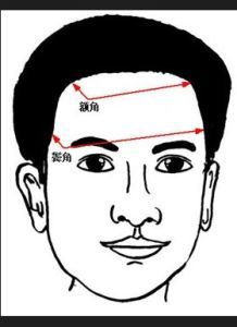 额角