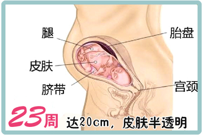 二三