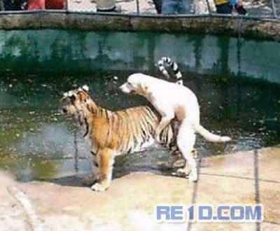 饥渴