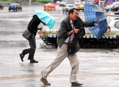 冒雨